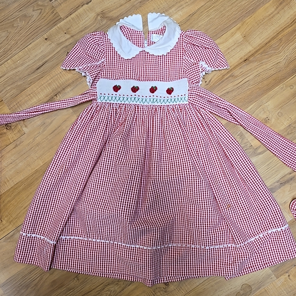 Red Gingham Dress with White Collar
